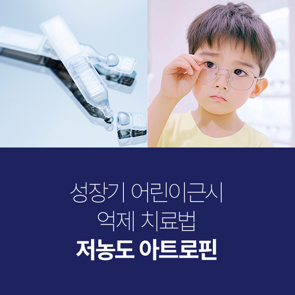 ���� ��Ʈ����