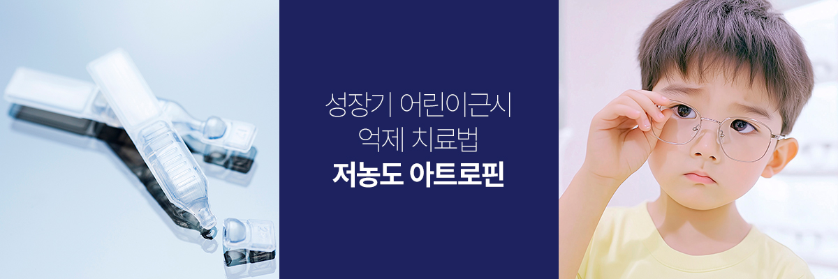 ���� ��Ʈ����